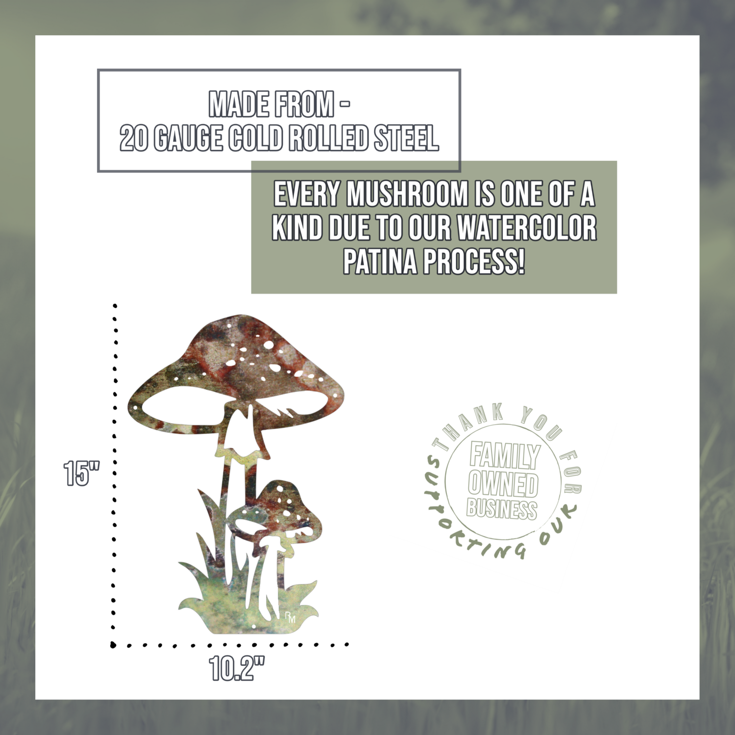 Mushroom Cluster