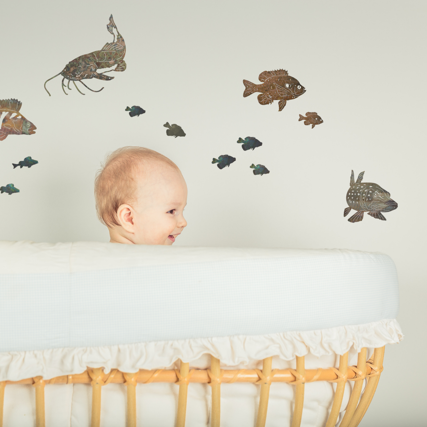 Single Catfish Wall Art