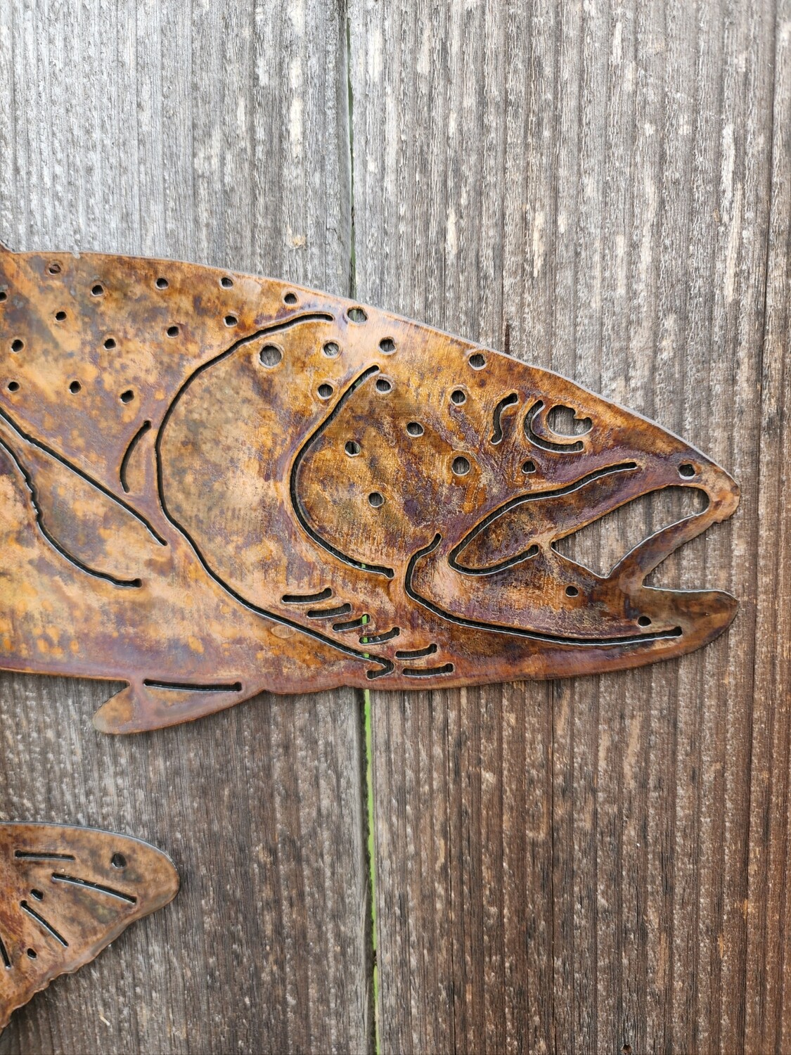Single Rainbow Trout Wall Art