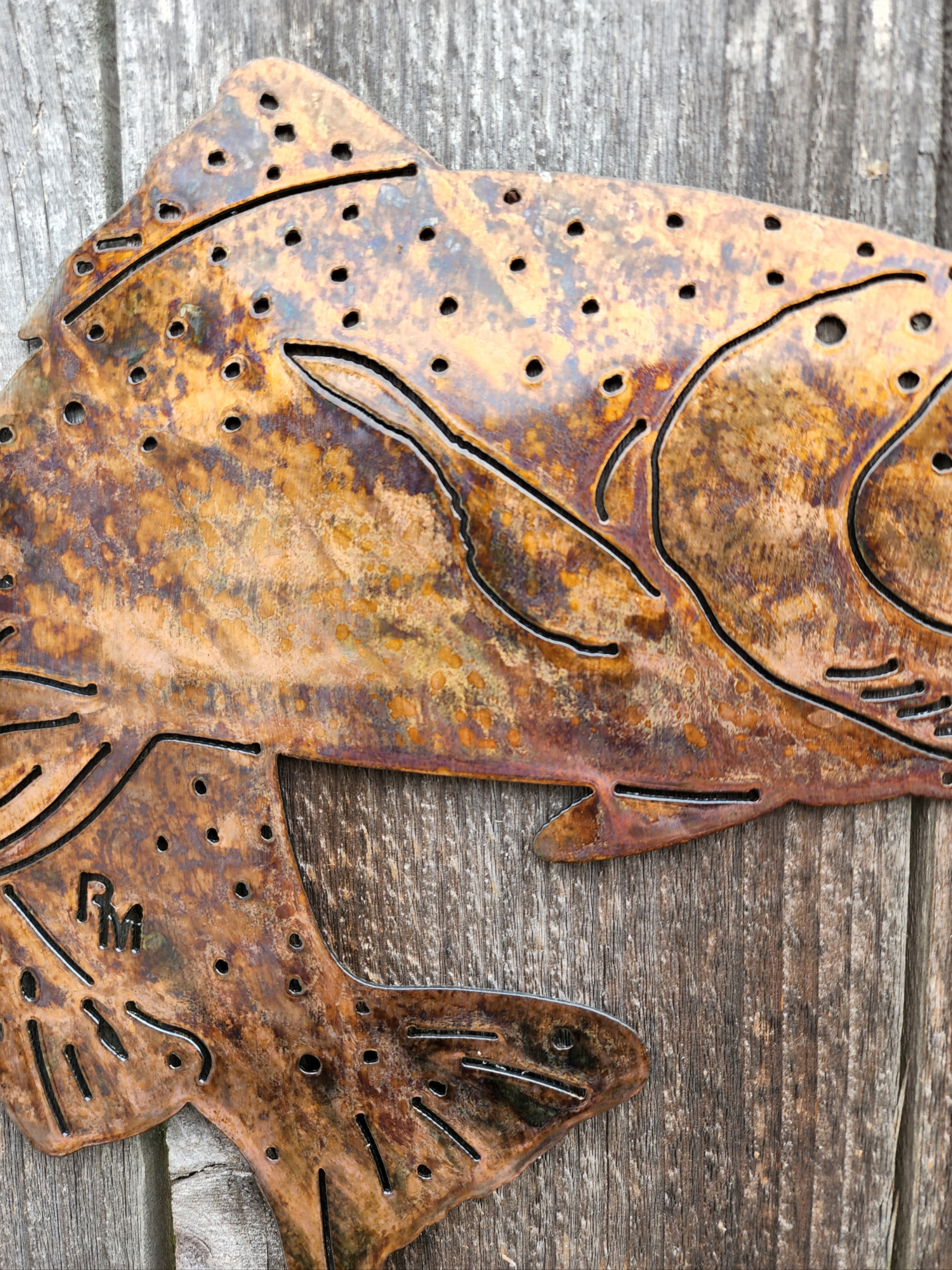 Rainbow Trout Fish Home Decor / Trout Fish Sign