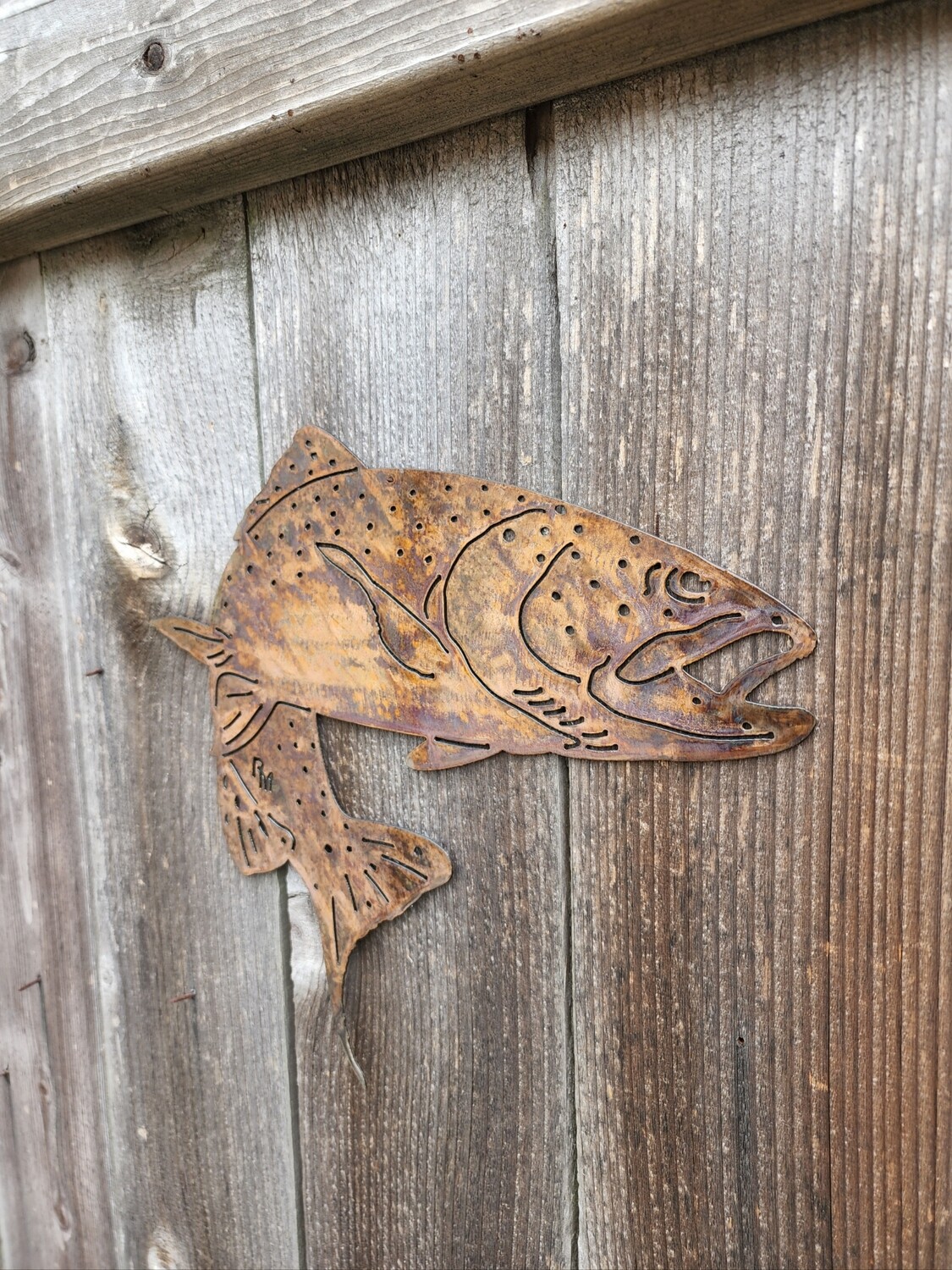 Single Rainbow Trout Wall Art