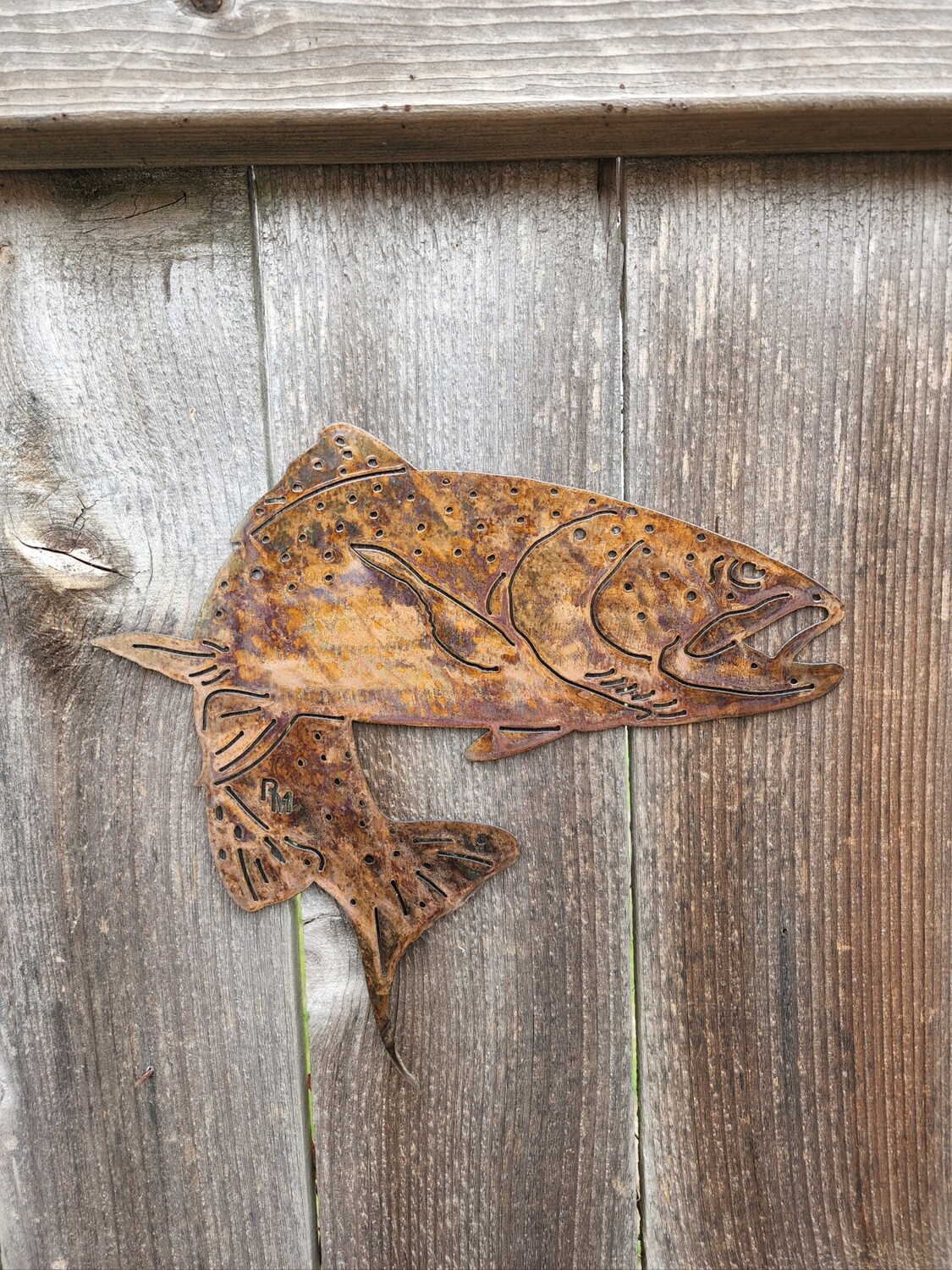 Single Rainbow Trout Wall Art