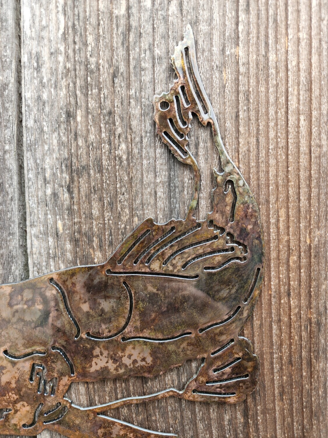 Single Catfish Wall Art
