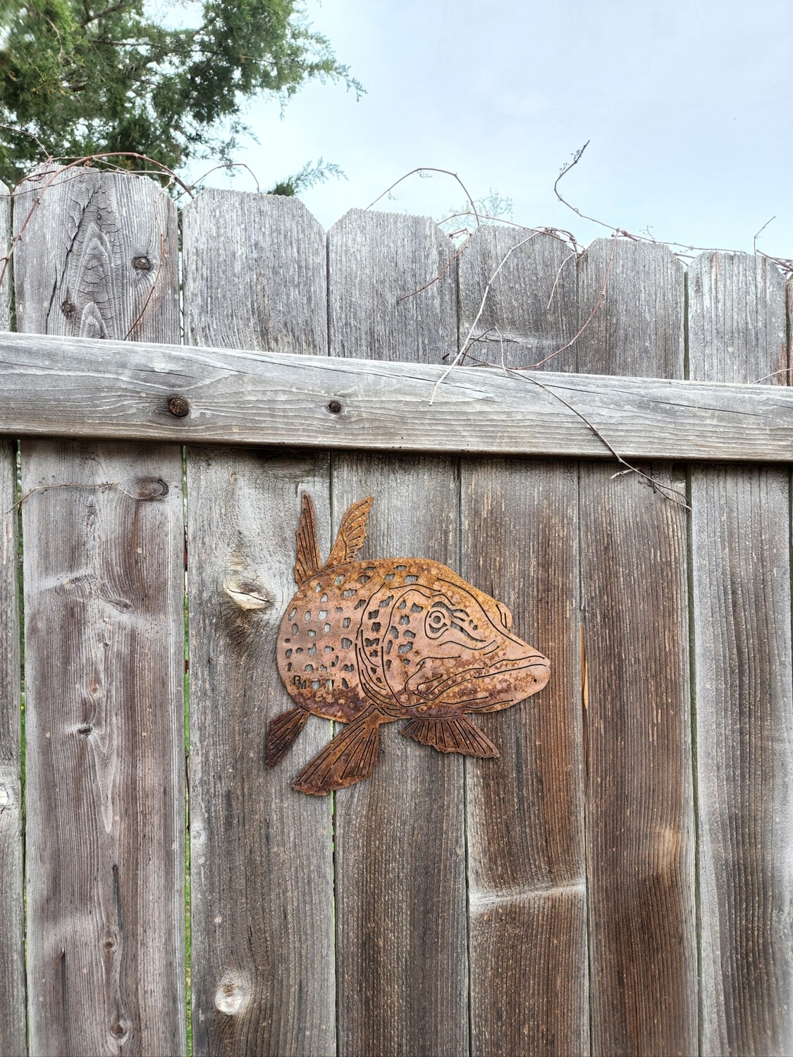 Single Northern Wall Art