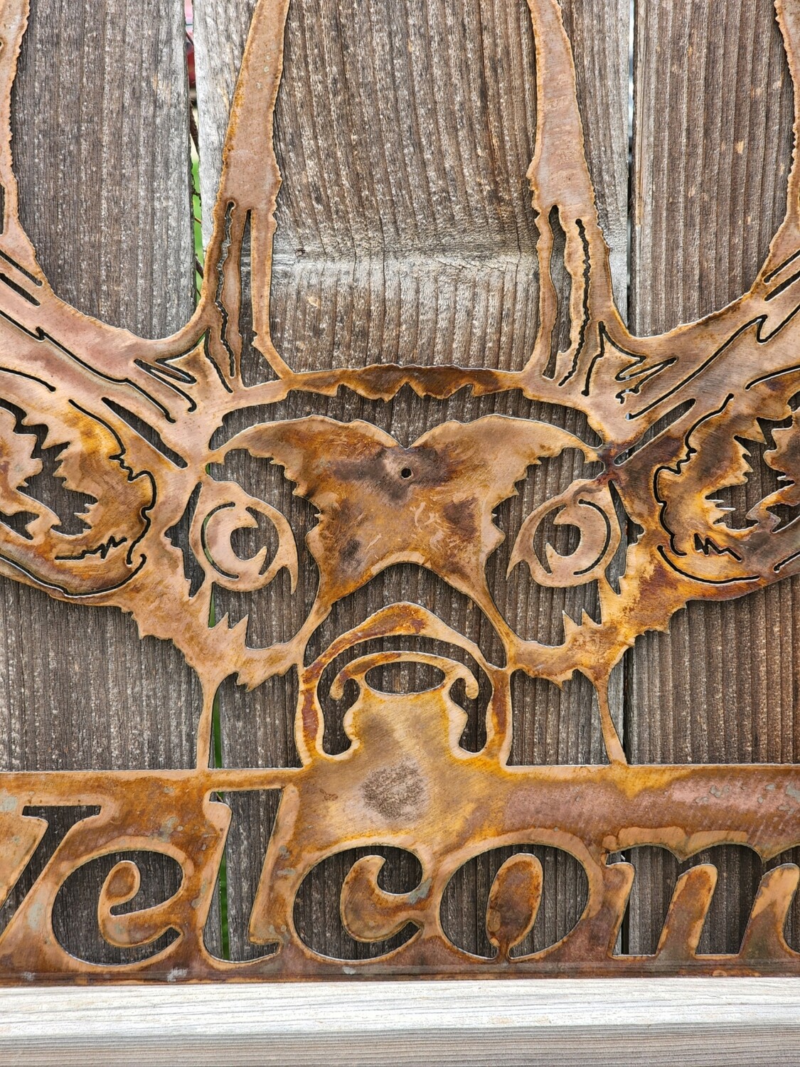Welcome Buck