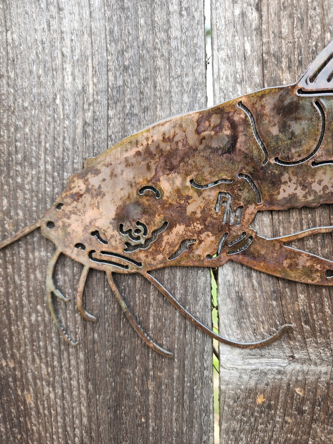 Single Catfish Wall Art