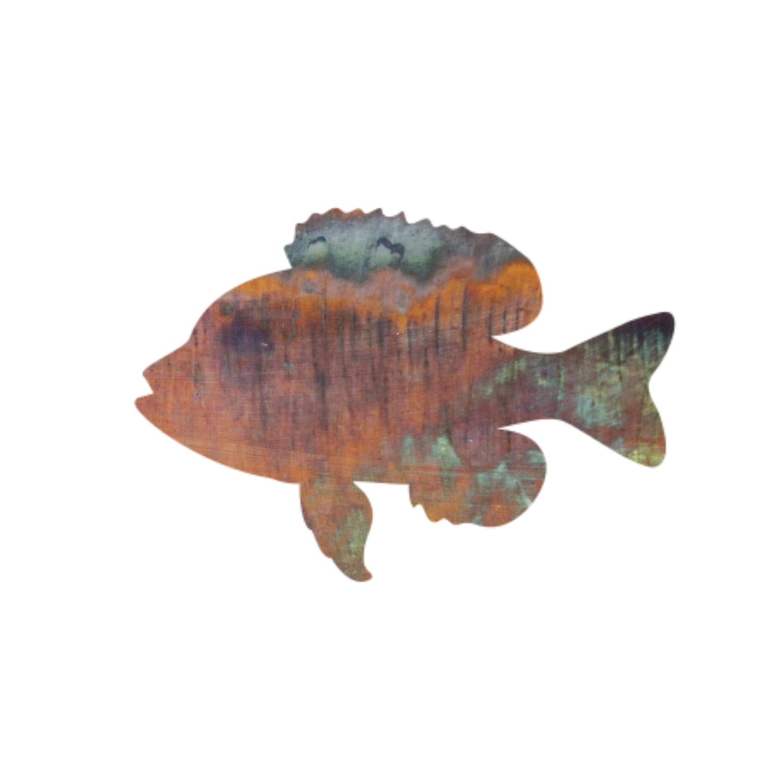 Large Sunfish Magnet