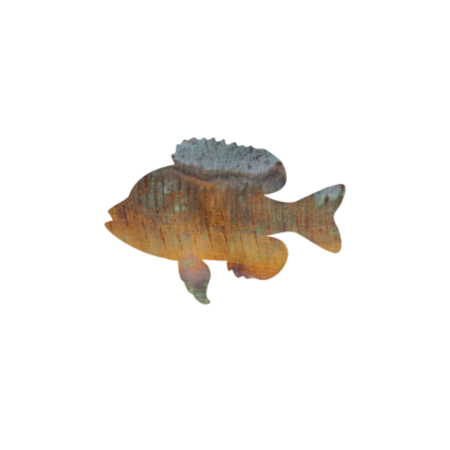 Small Sunfish Magnet