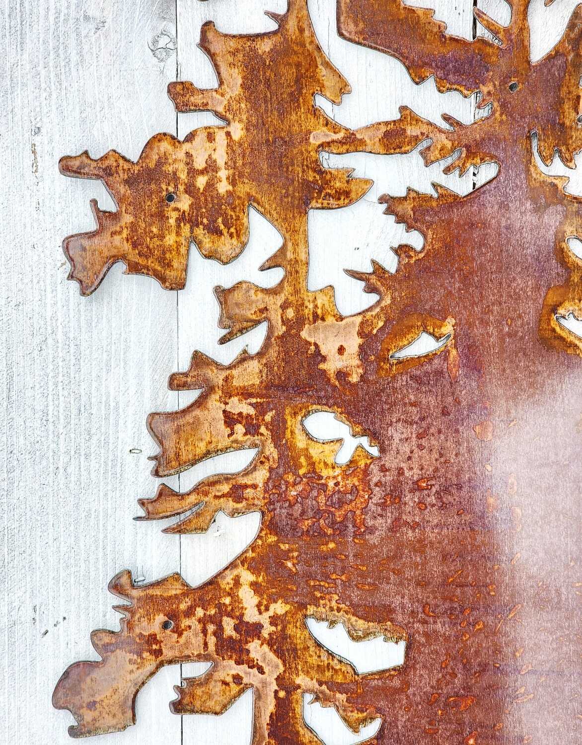 Evergreen Pine Tree