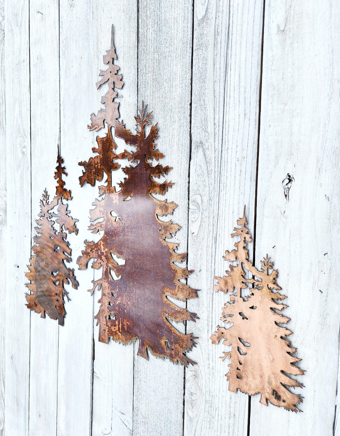 Evergreen Pine Tree