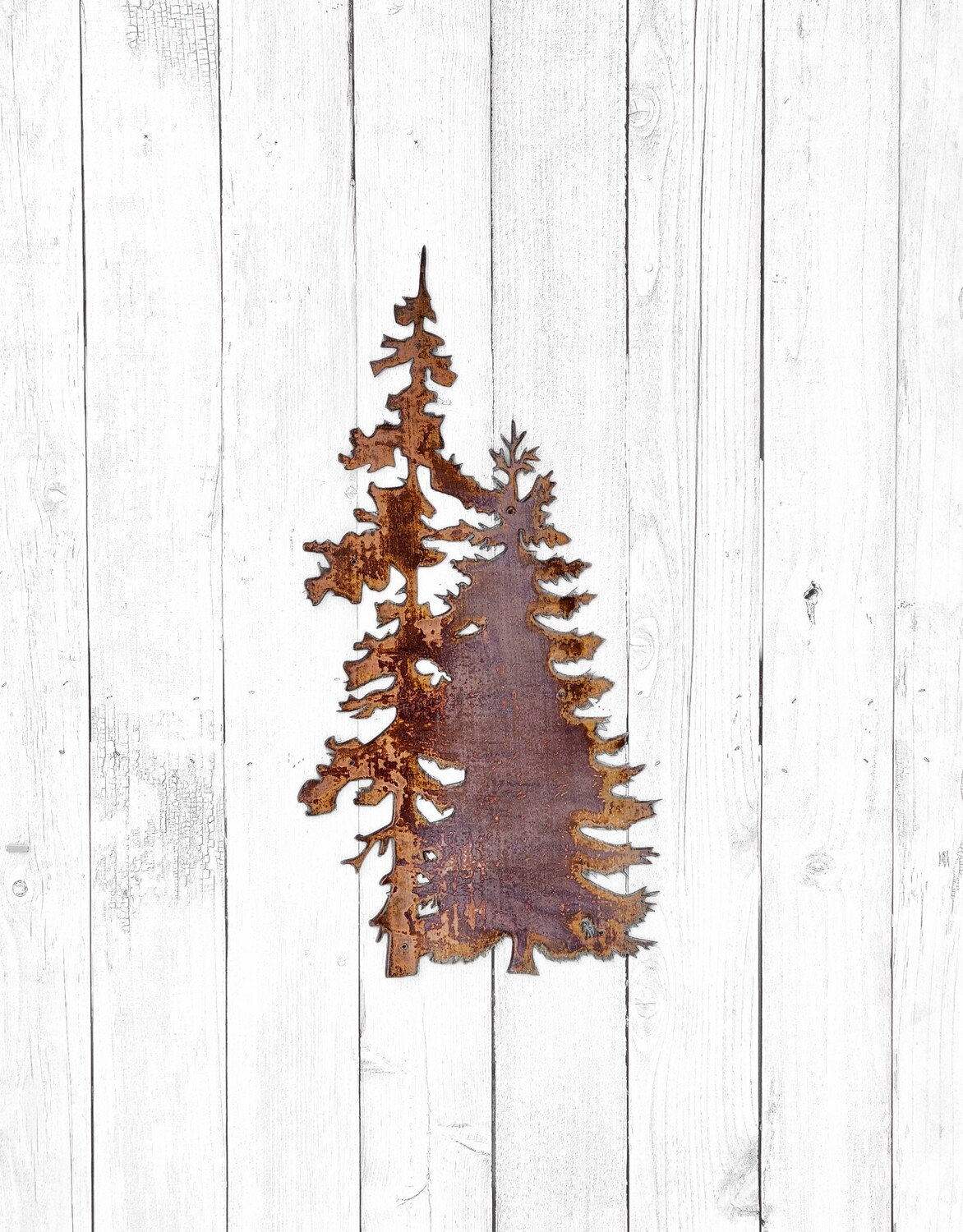 Evergreen Pine Tree