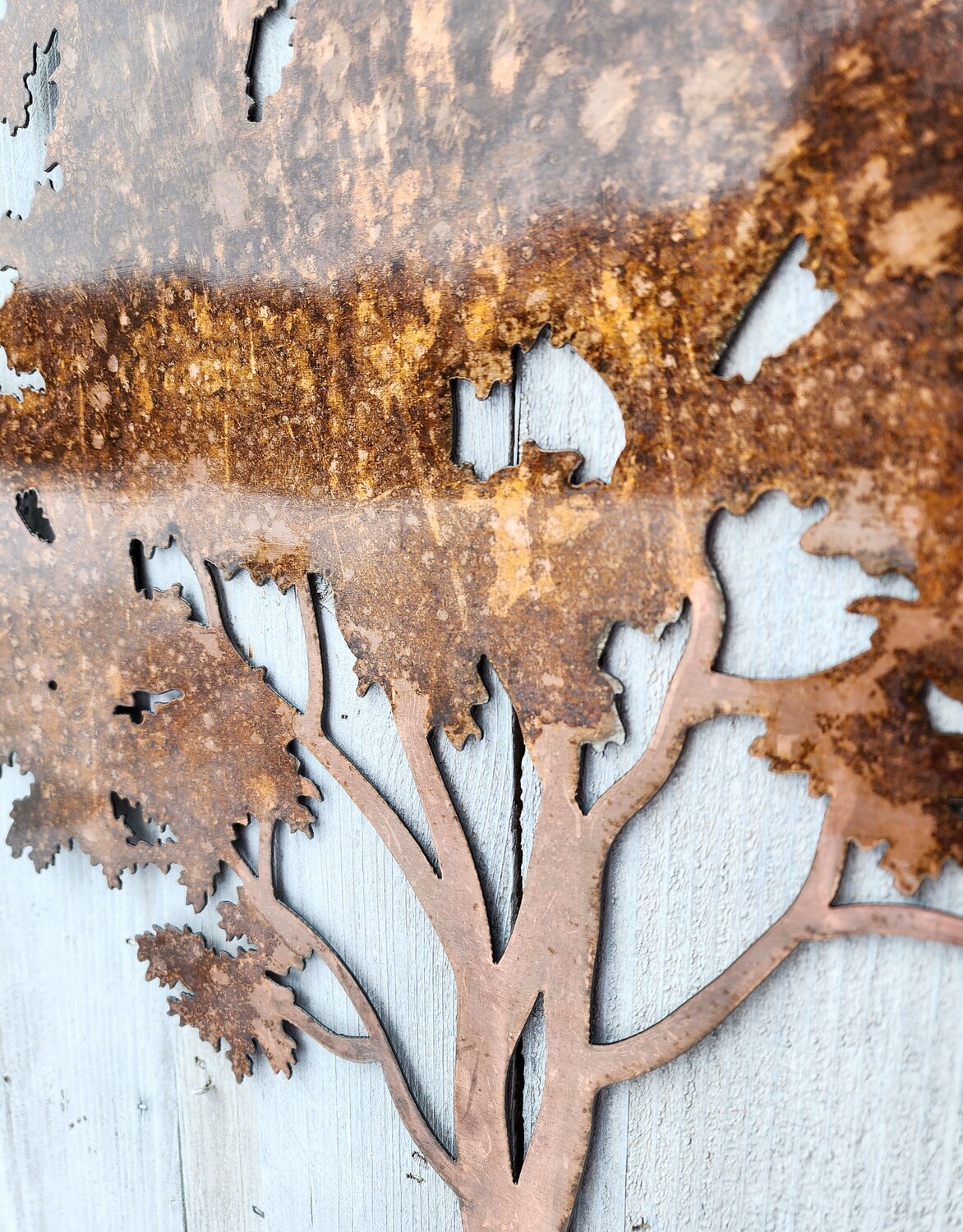 Maple Tree