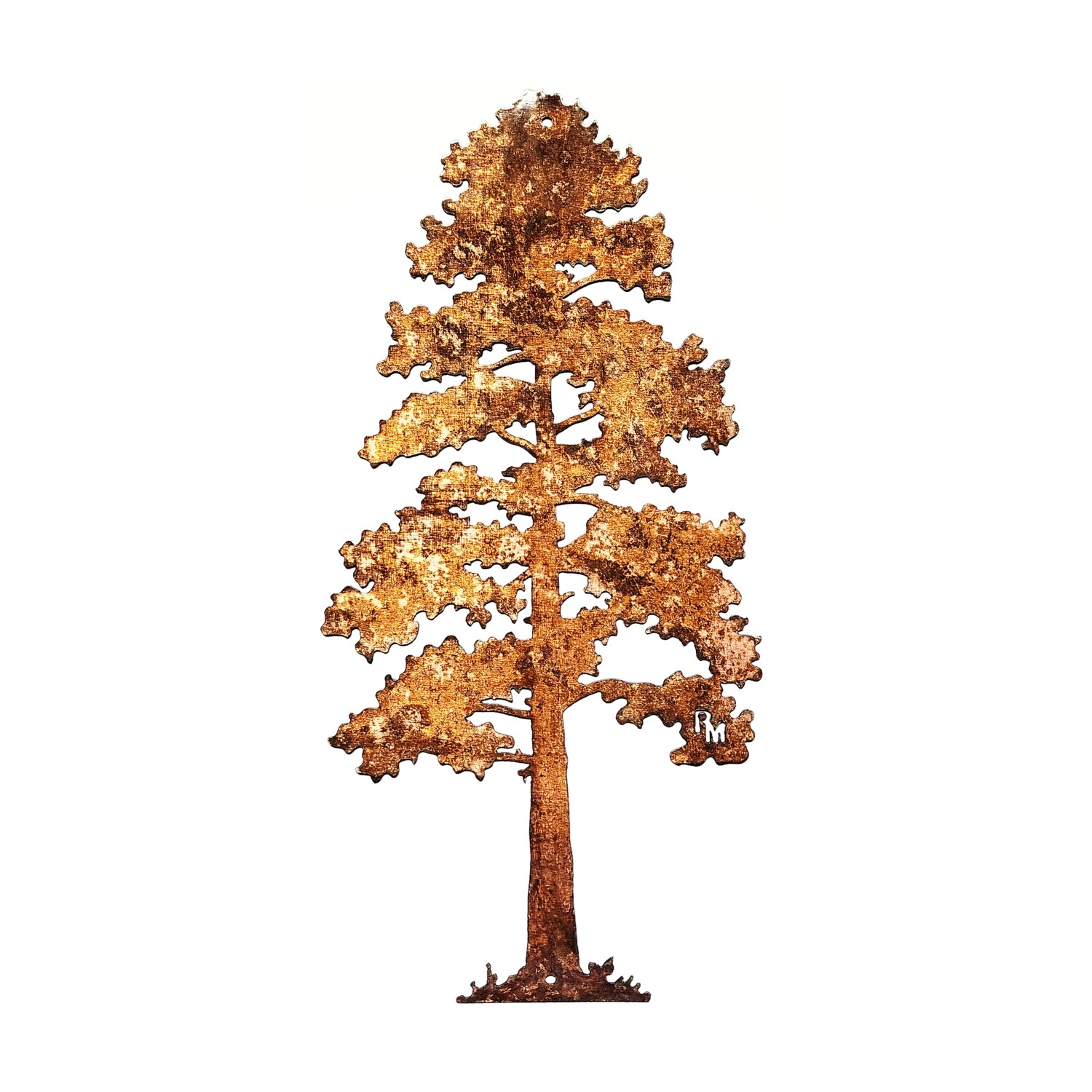 XXL Lodgepole Pine Tree