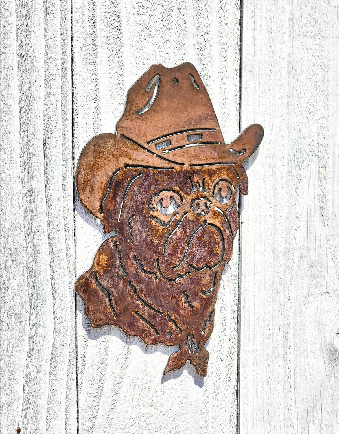 Cowboy Dog Set
