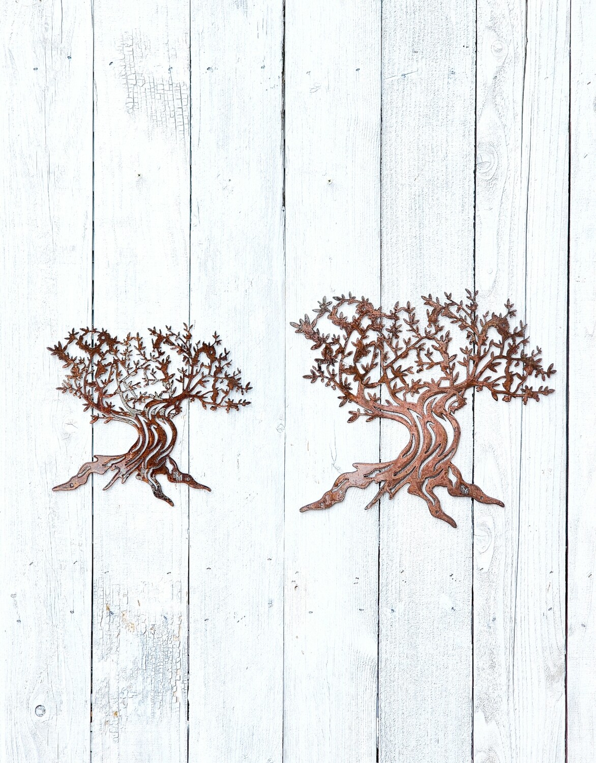 Olive Tree