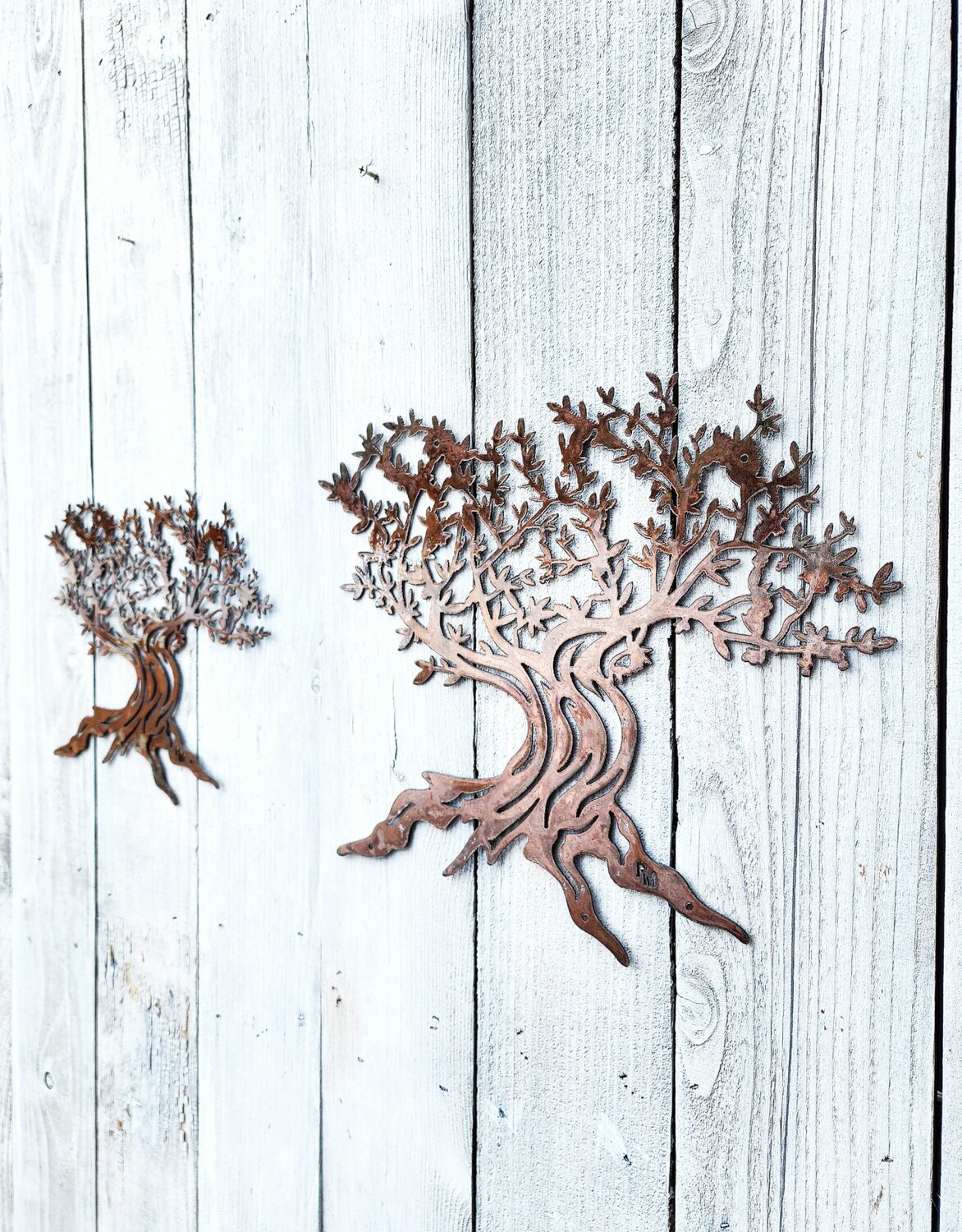 Olive Tree