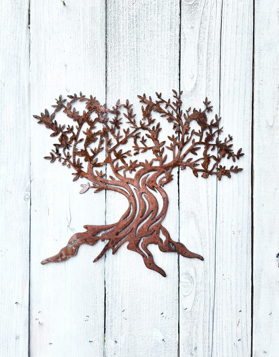 Olive Tree