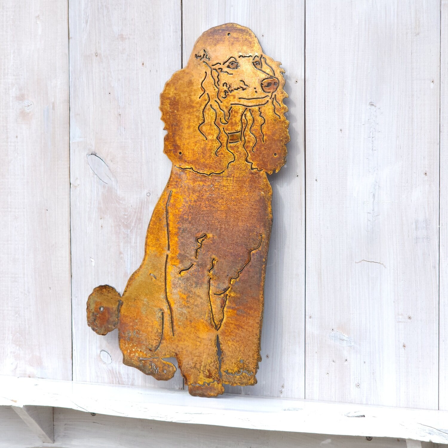 Poodle Sign