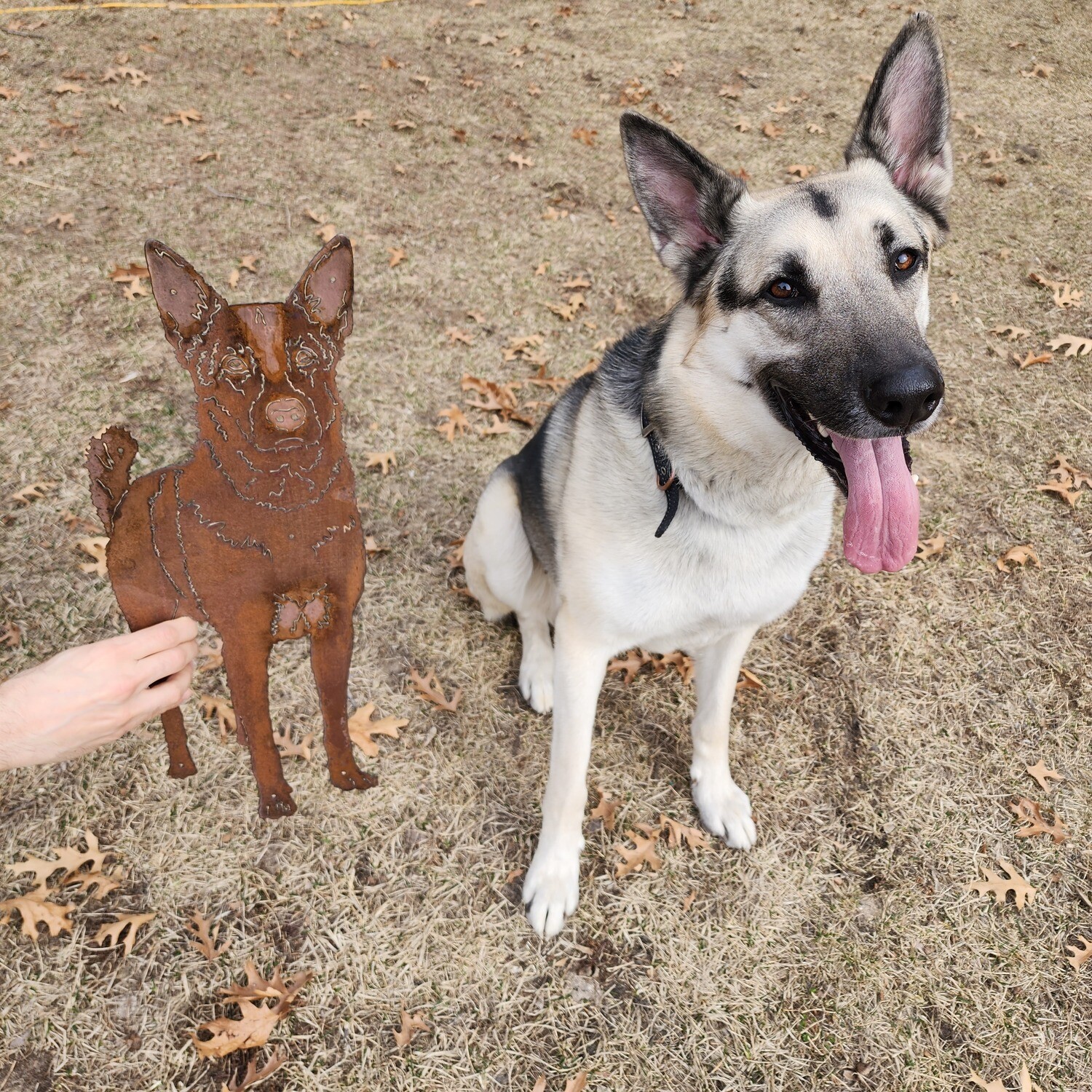 Shepsky Sign