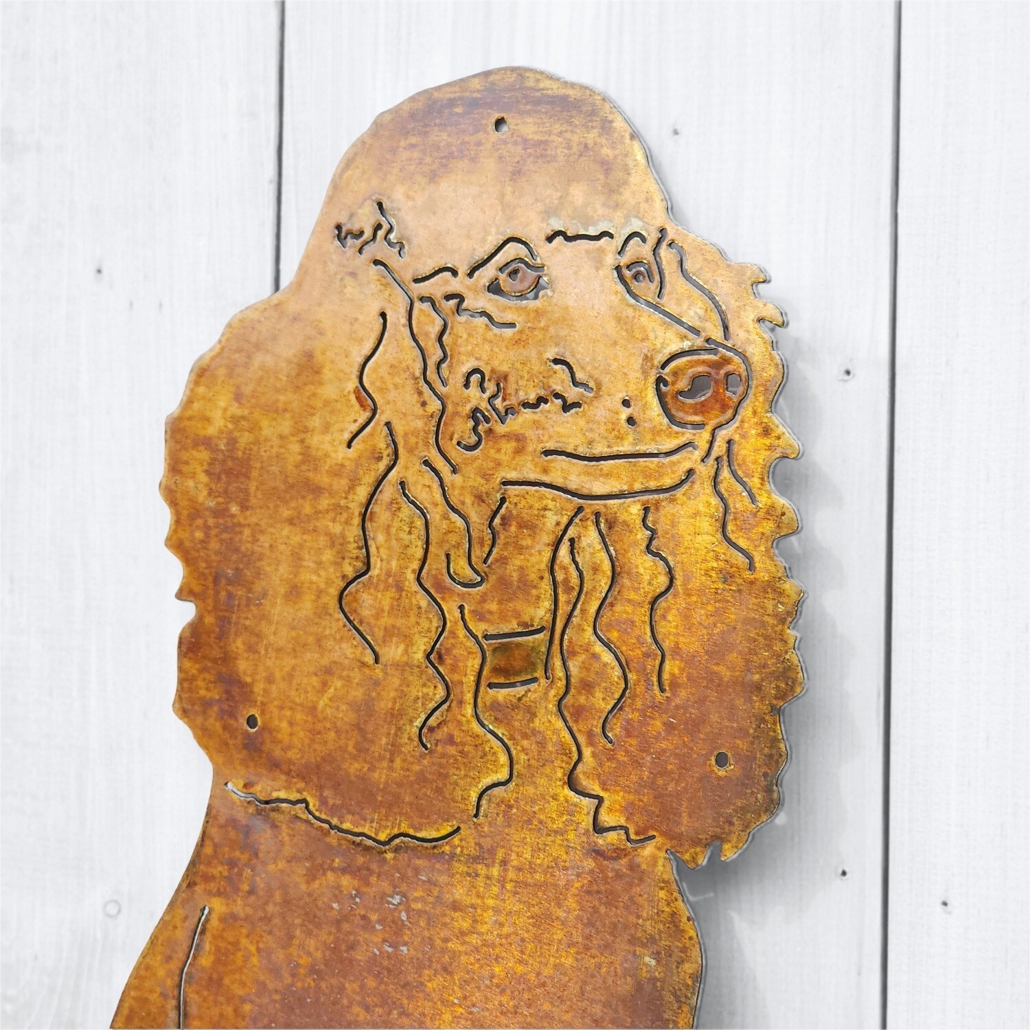 Poodle Sign