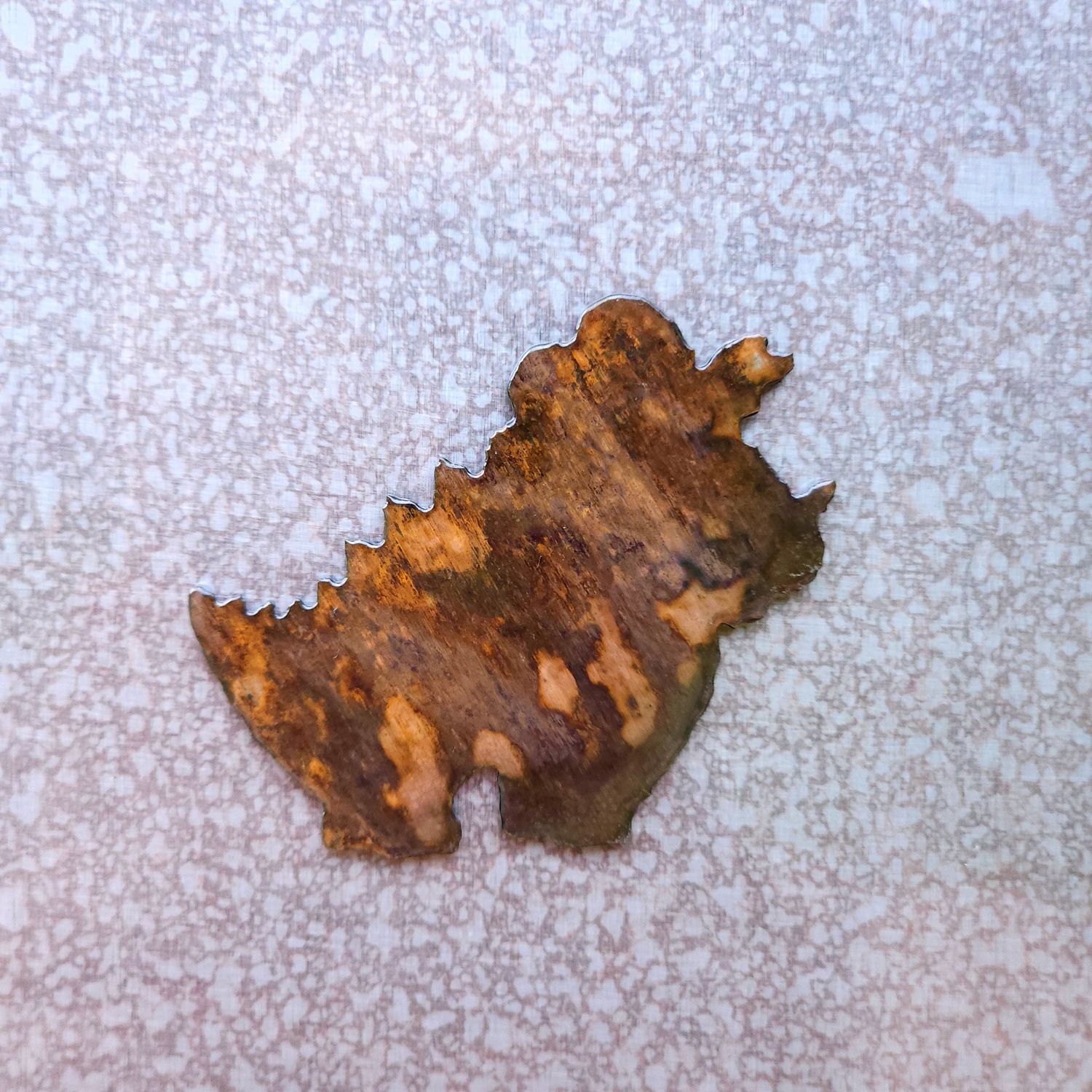 Triceratops Magnet