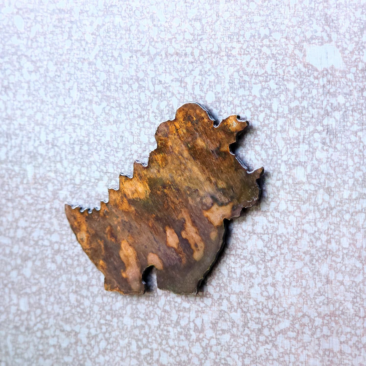 Triceratops Magnet