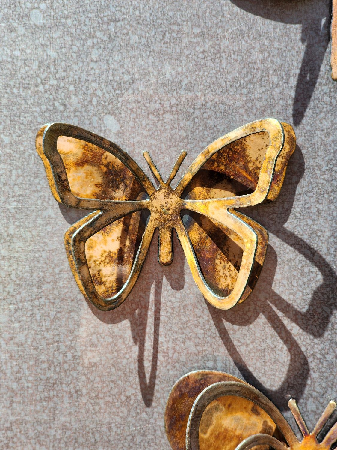 3D Butterfly Magnet Set