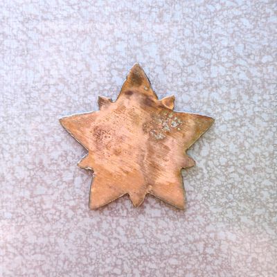 Bright Star Magnet