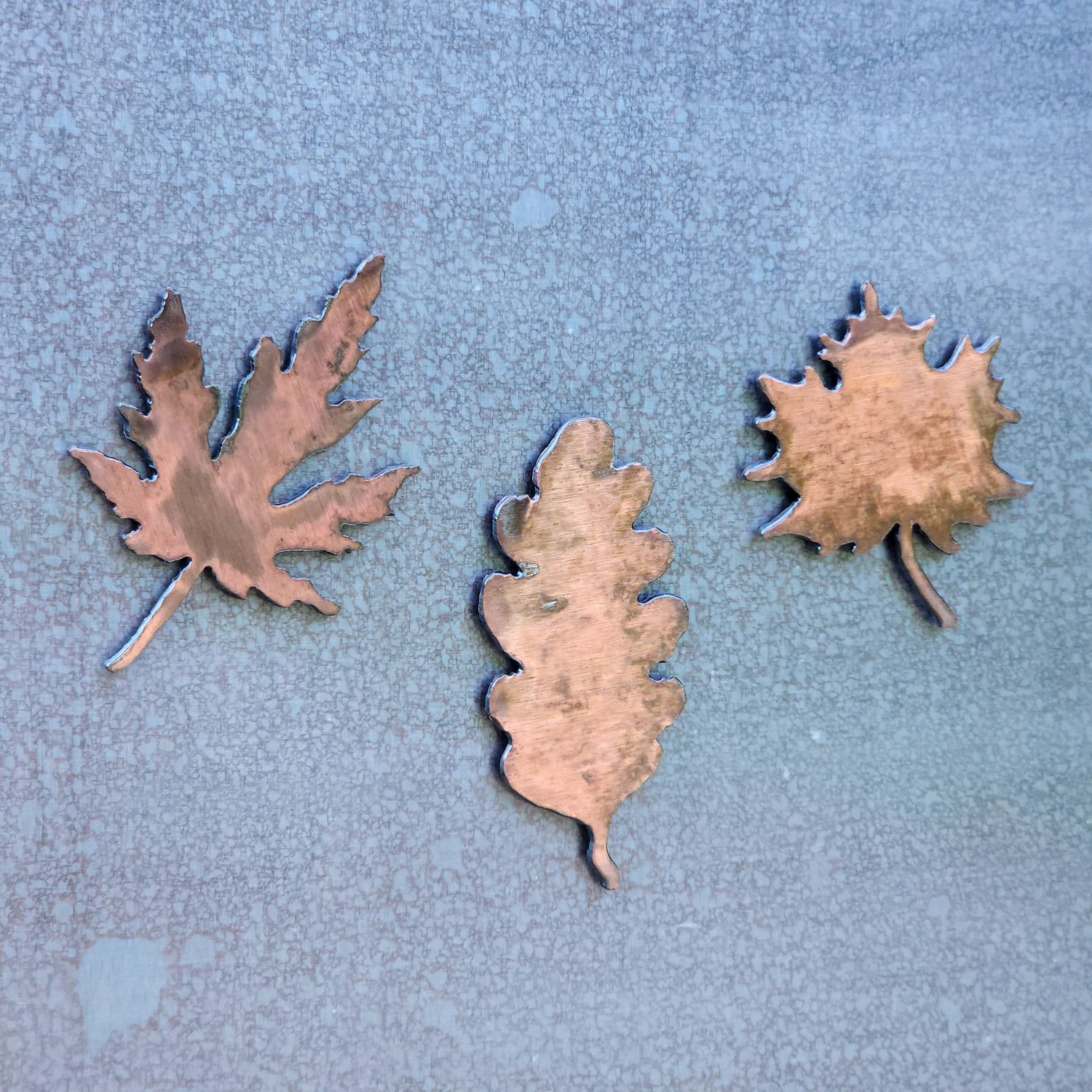 Leaf Magnet Set