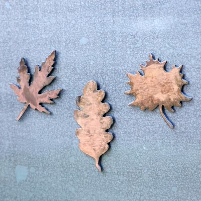 Leaf Magnet Set