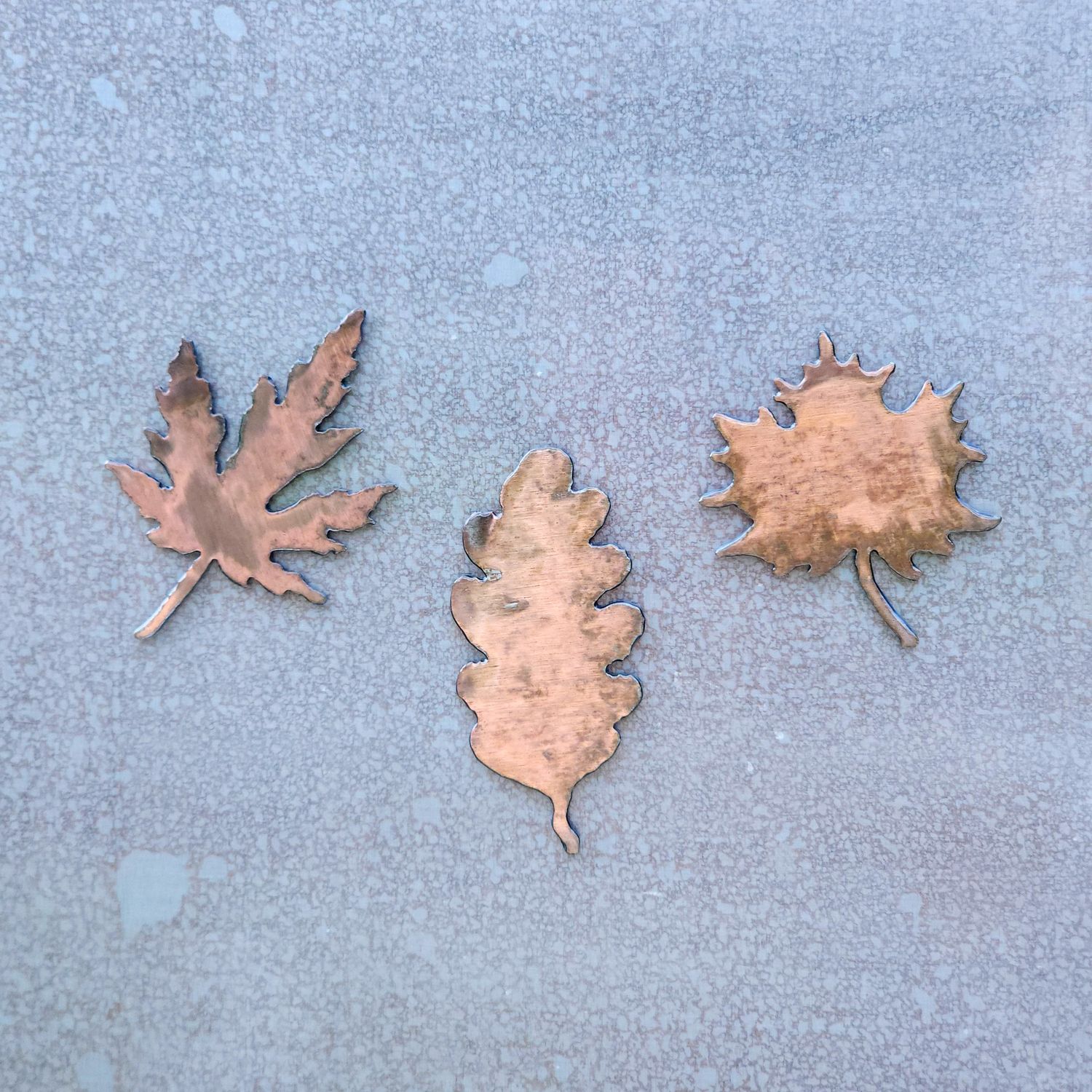 Leaf Magnet Set