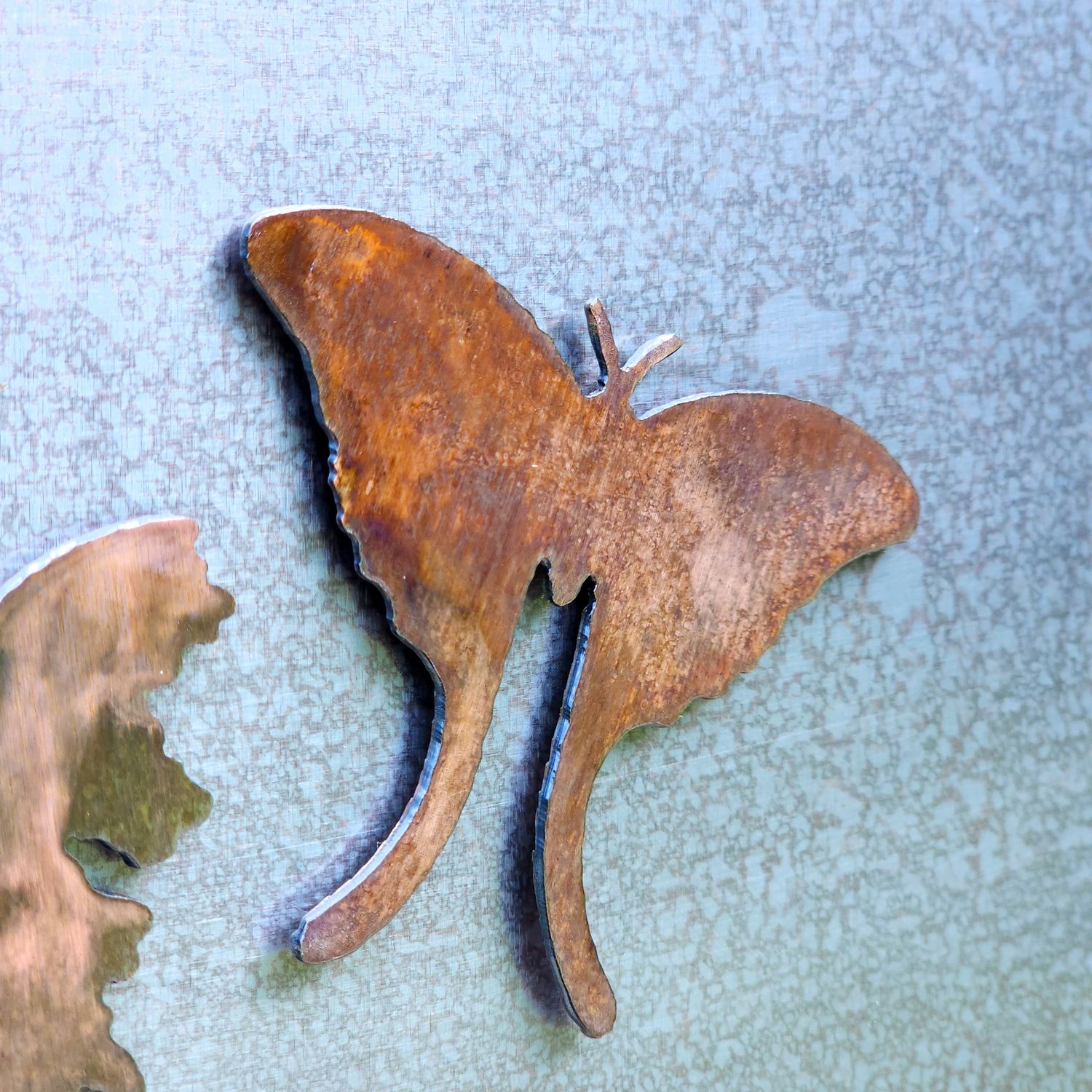 Luna Moth Magnet