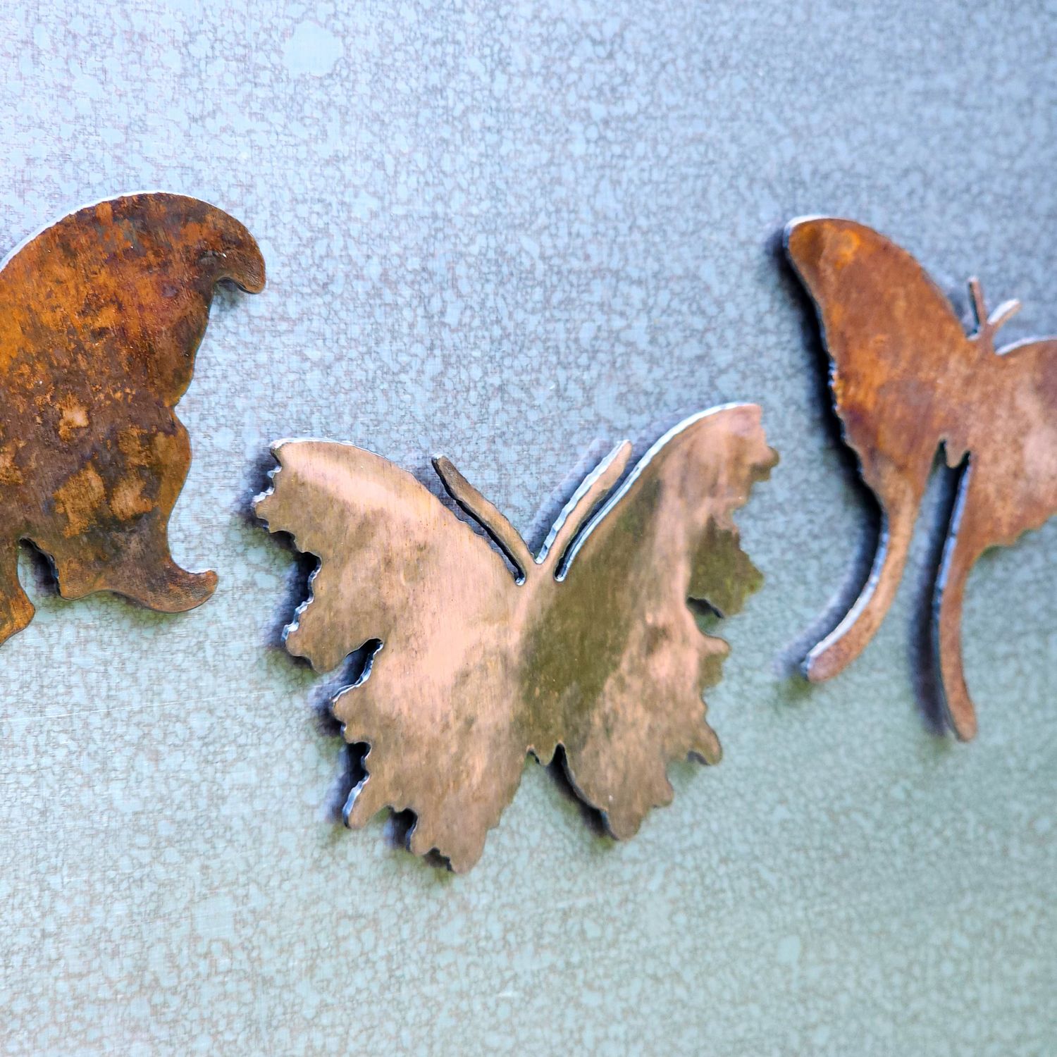 Thorne Moth Magnet