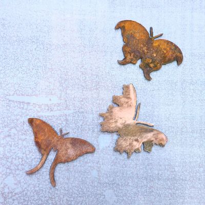 Moth Magnet Set
