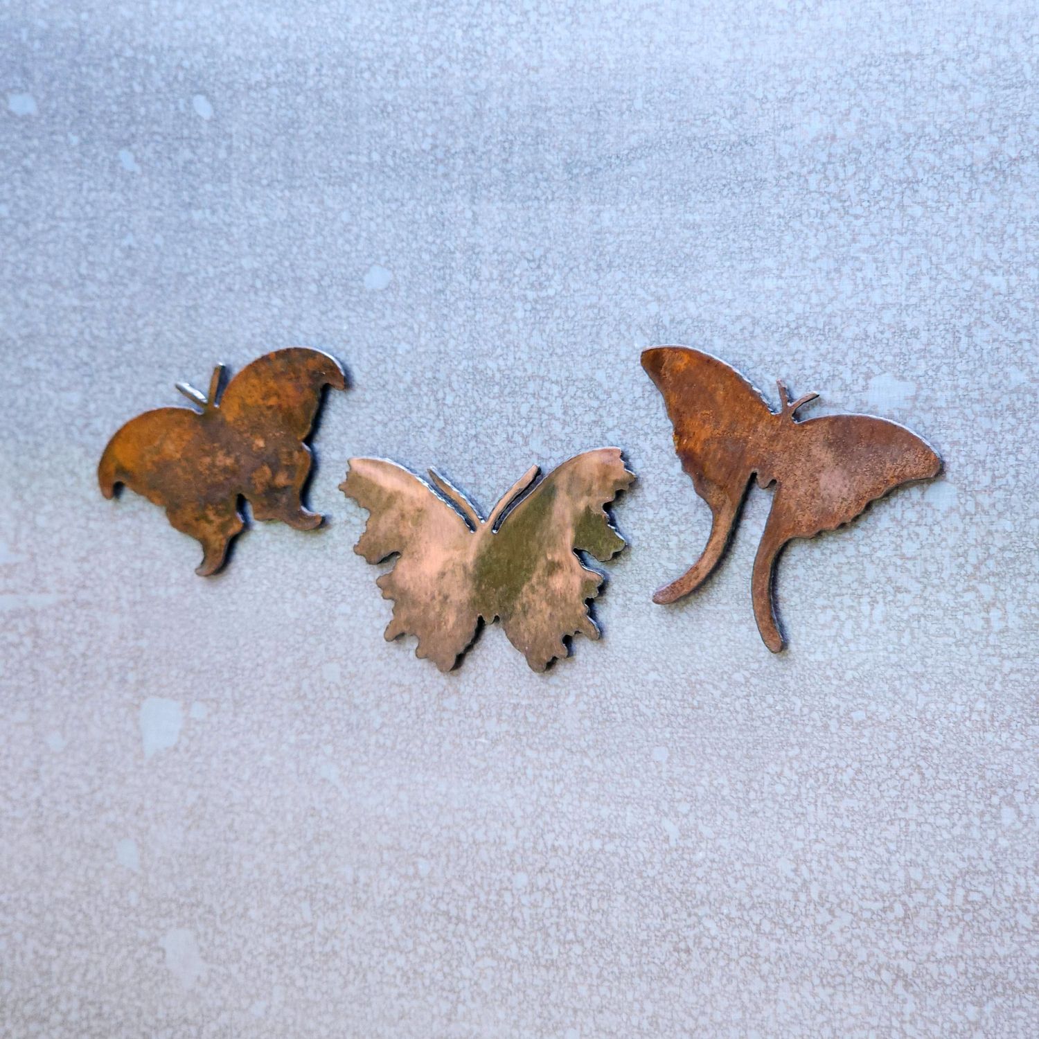 Thorne Moth Magnet