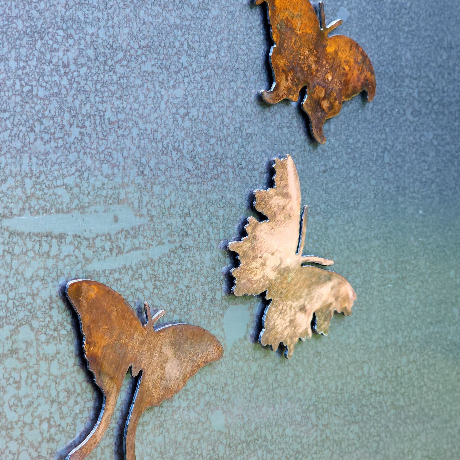 Thorne Moth Magnet