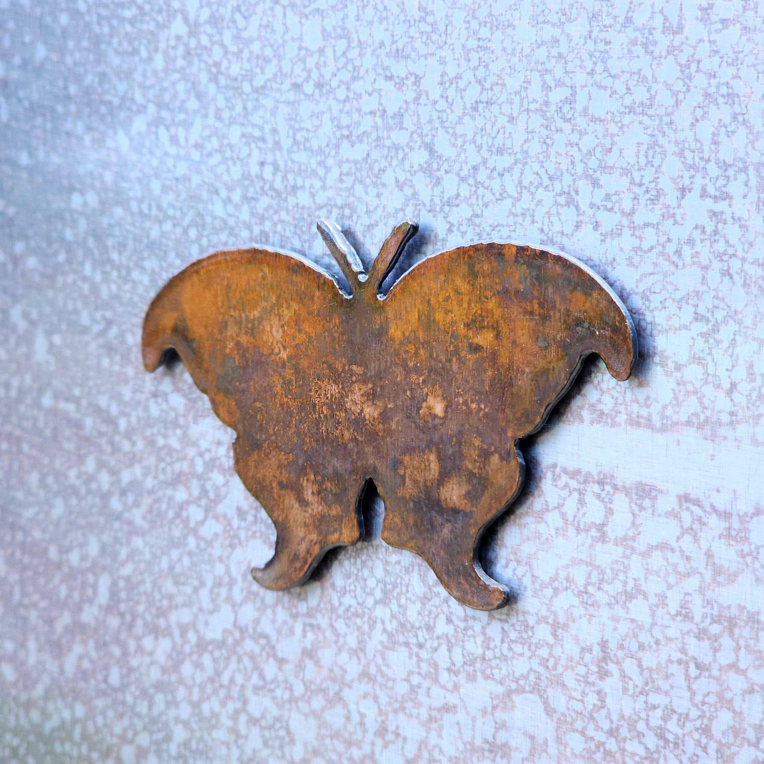 Atlas Moth Magnet