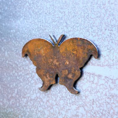 Atlas Moth Magnet