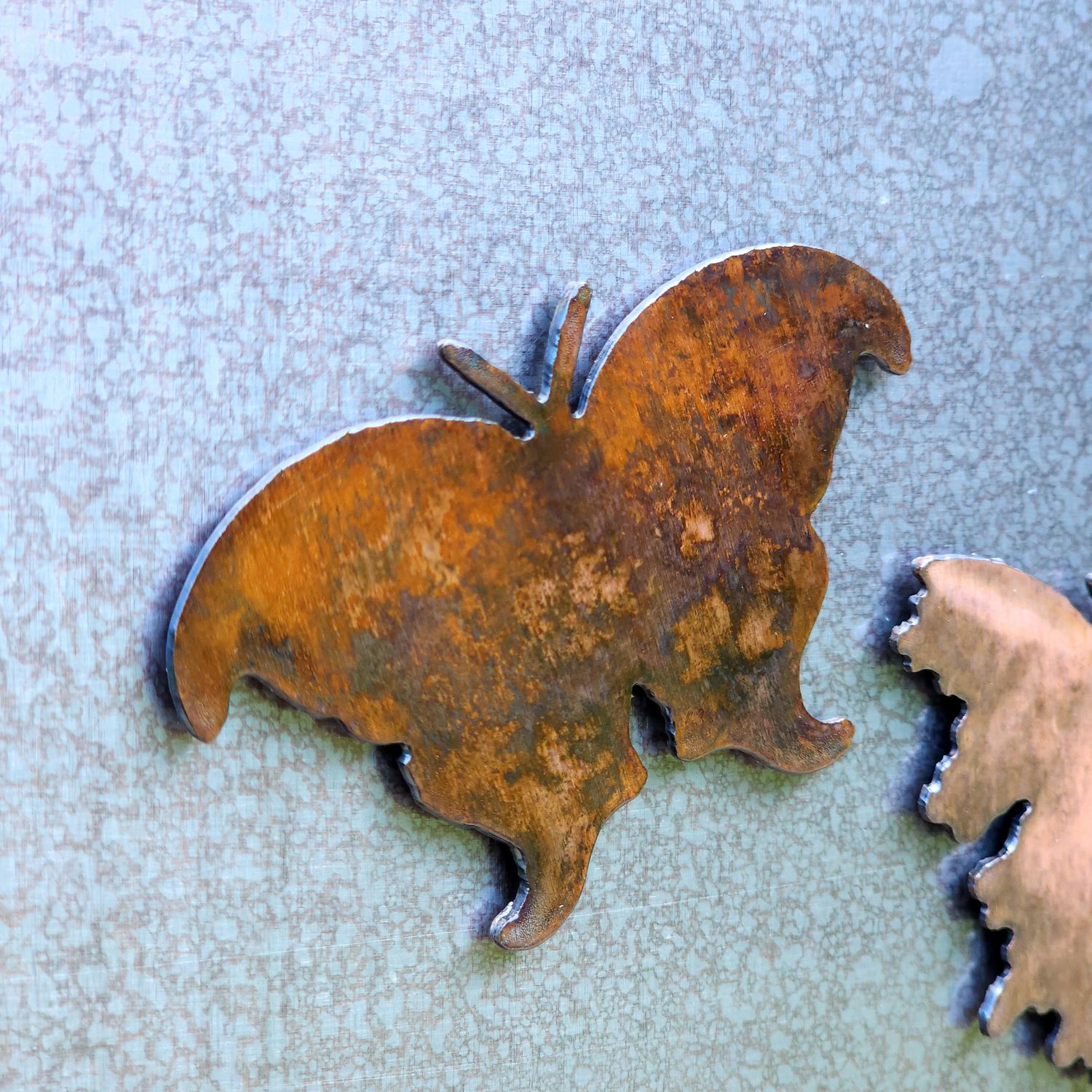 Atlas Moth Magnet
