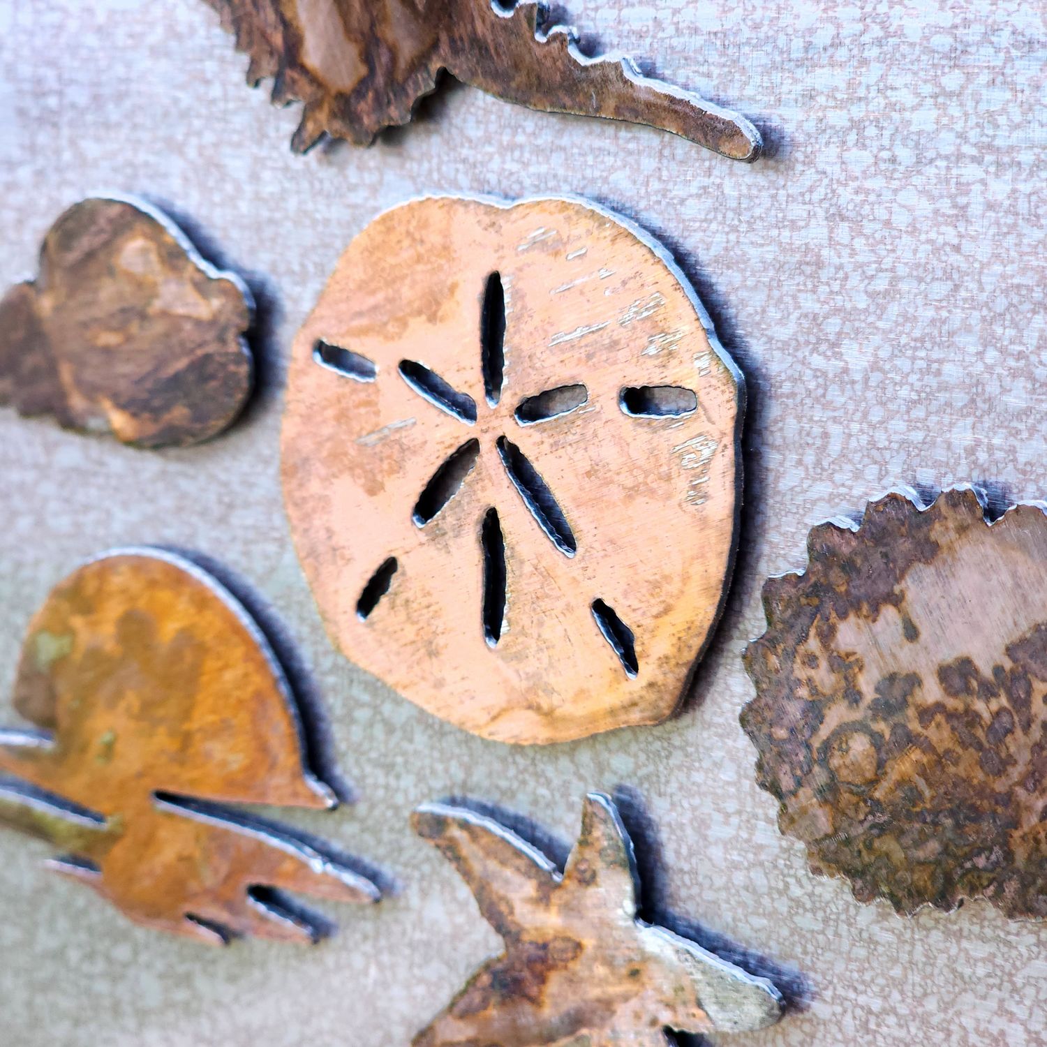Round Shell Magnet
