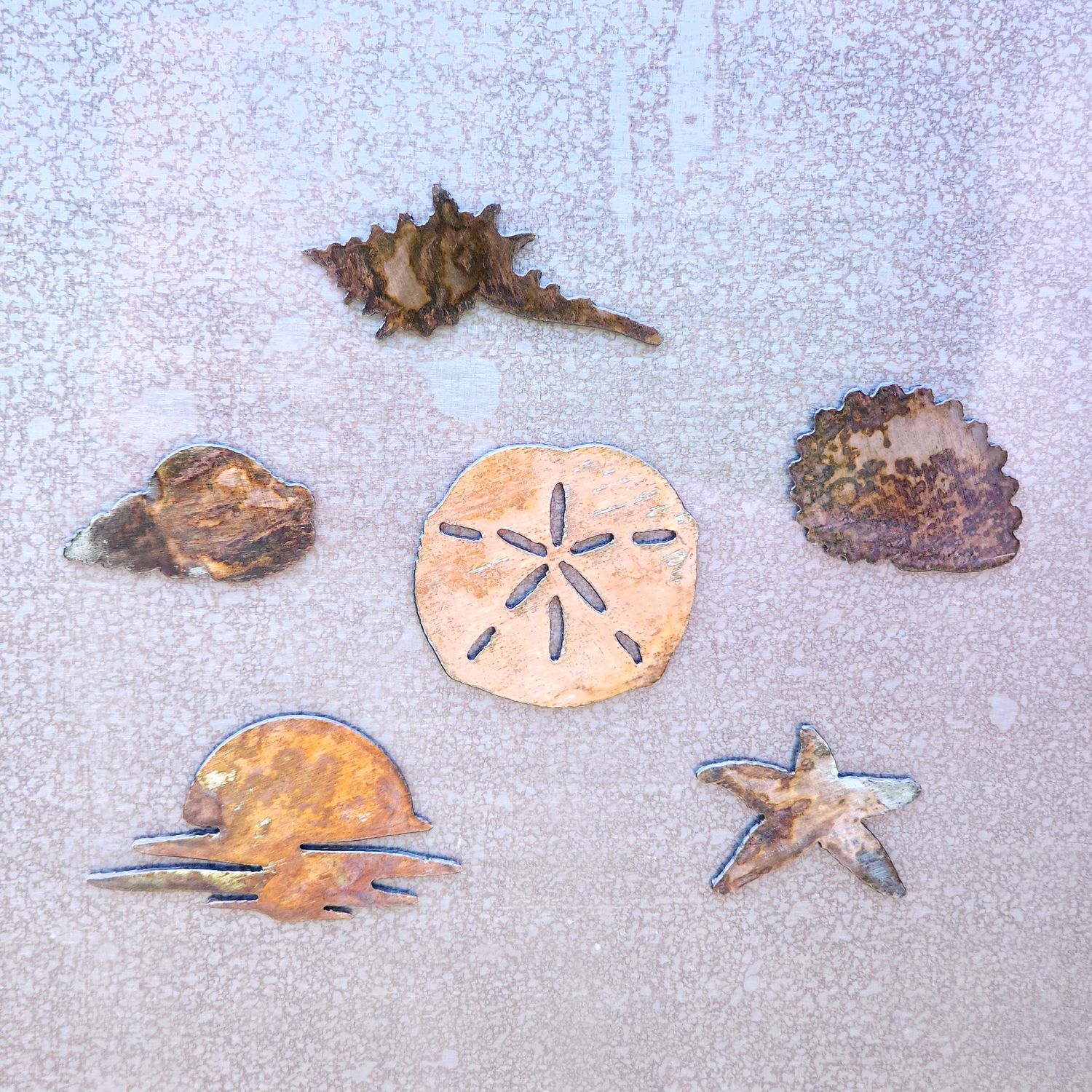Round Shell Magnet
