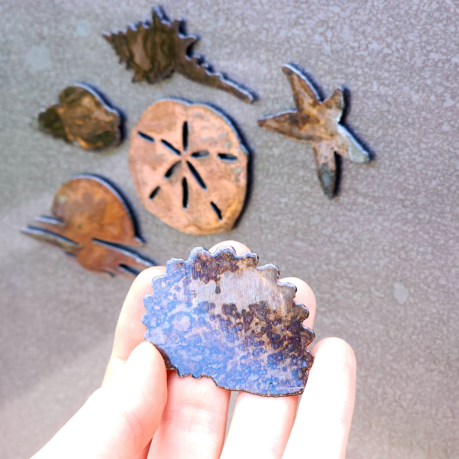 Round Shell Magnet