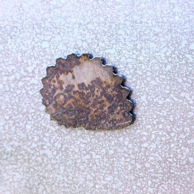 Round Shell Magnet