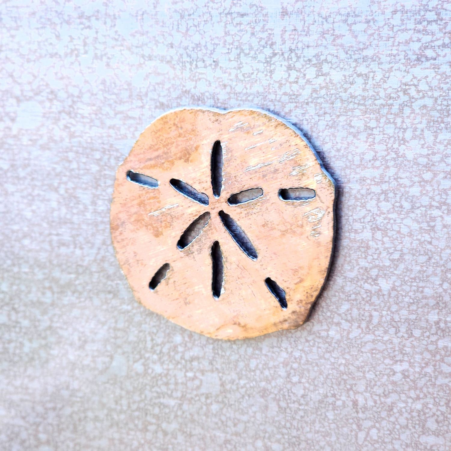 Sand Dollar Shell Magnet