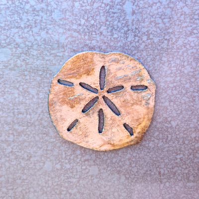 Sand Dollar Shell Magnet