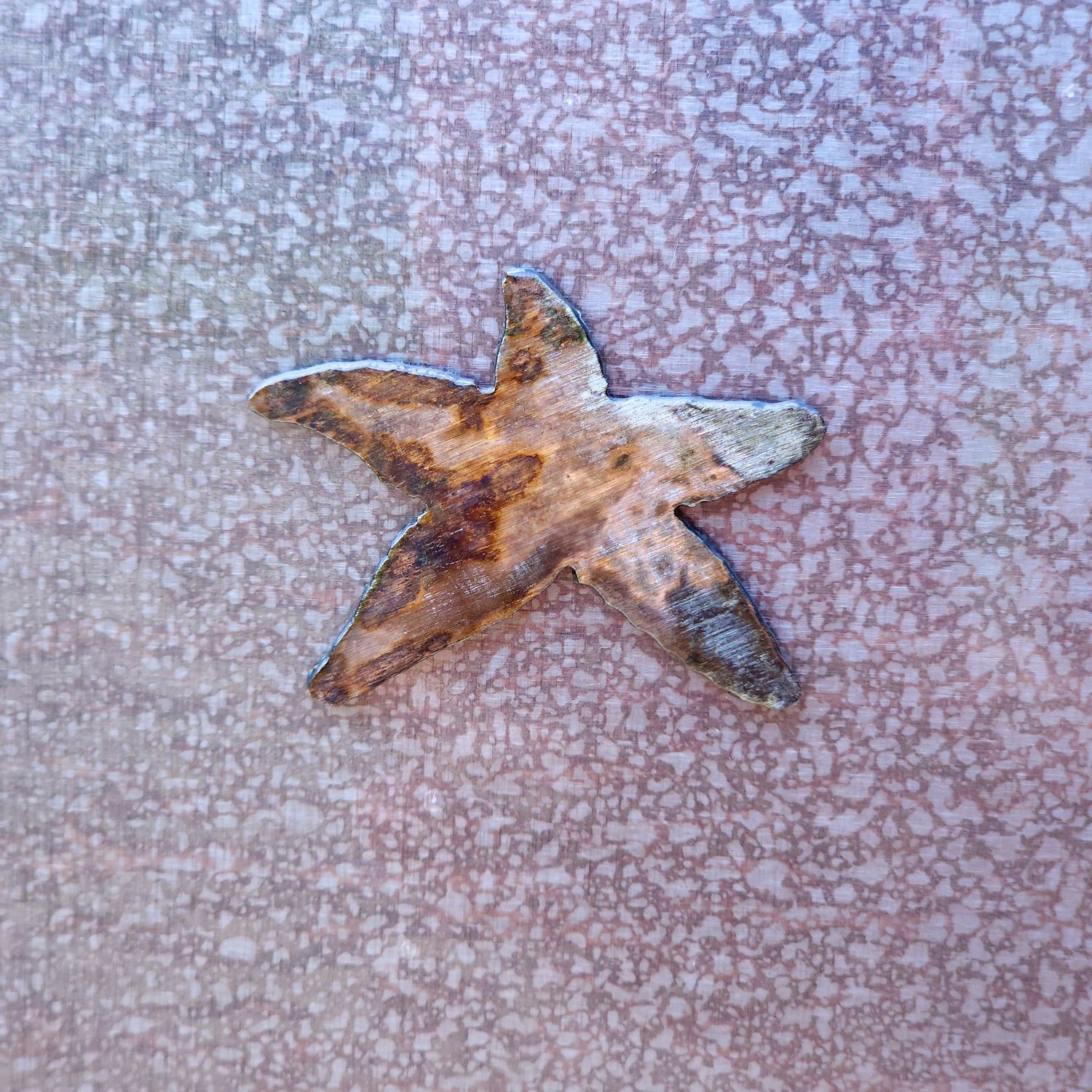 Starfish Magnet
