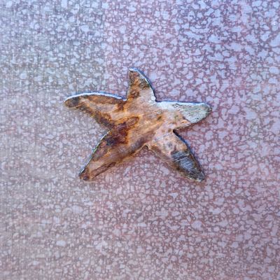 Starfish Magnet