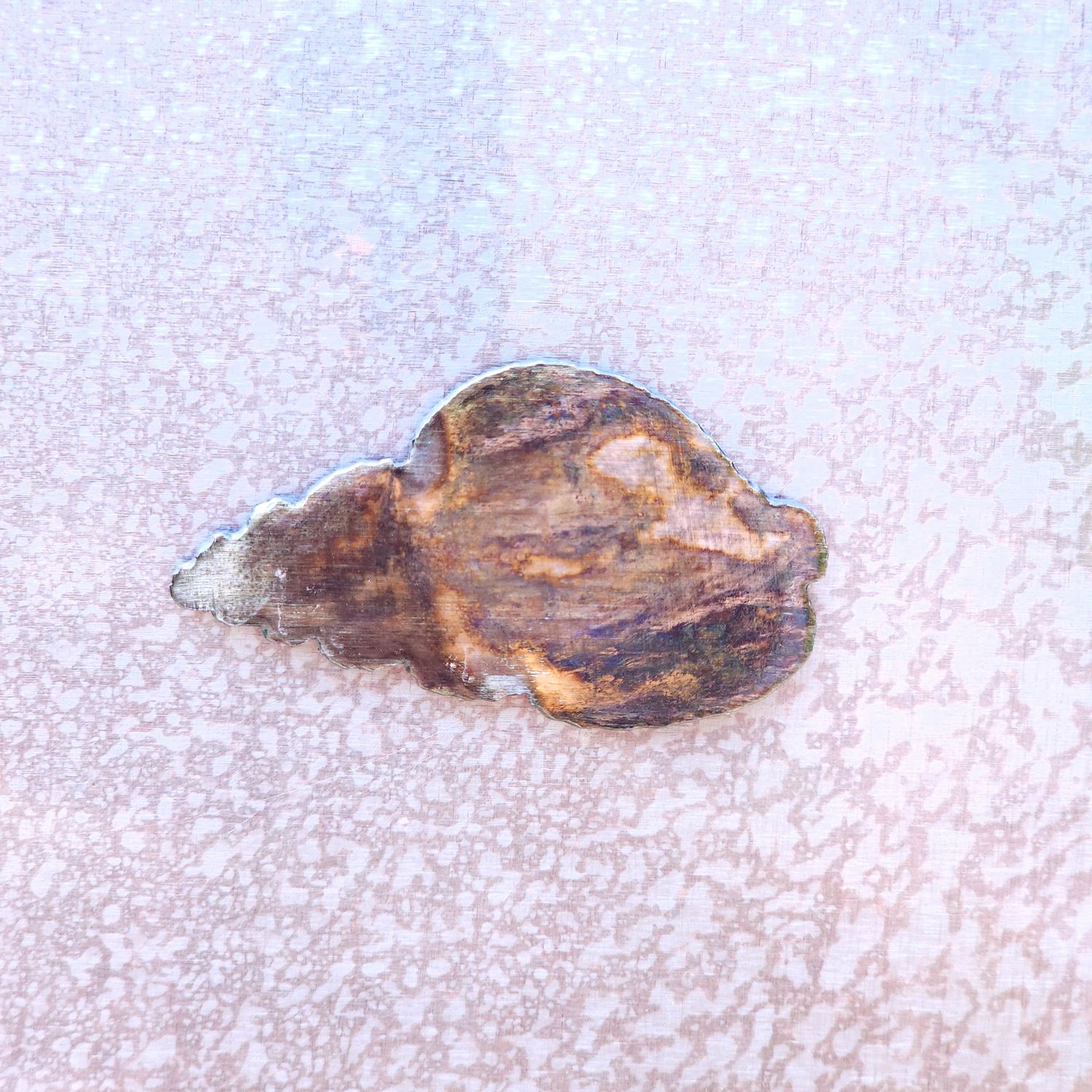 Simple Shell Magnet