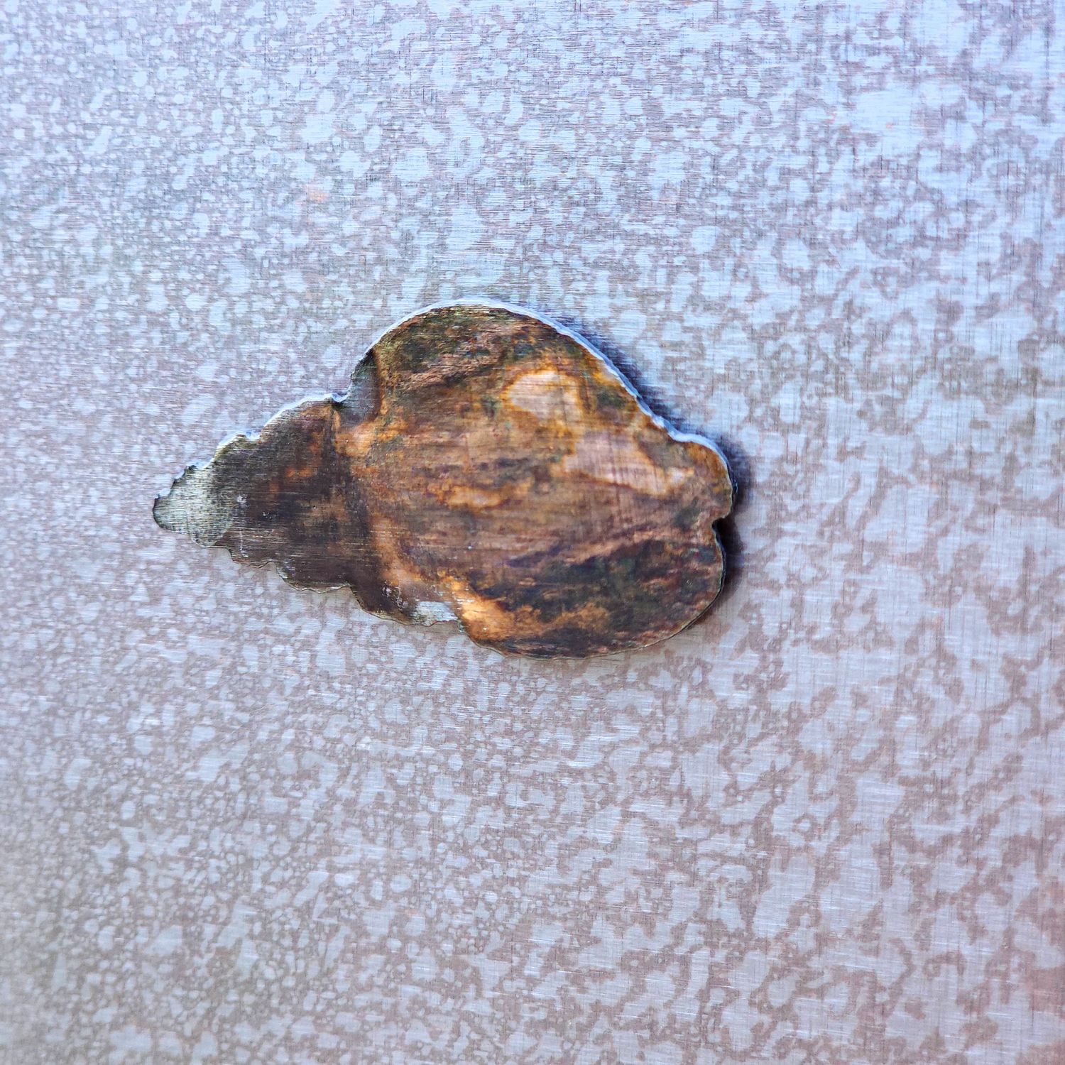 Simple Shell Magnet