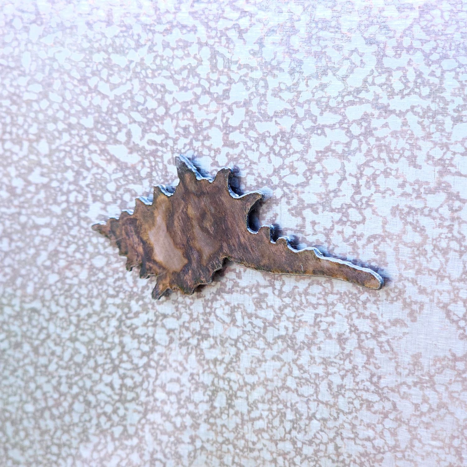 Long Shell Magnet